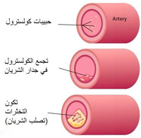 اضغط على الصورة لرؤيتها بالحجم الطبيعي