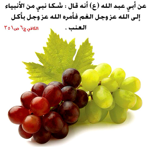 شكا النبي من الأنبياء إلى الله عز و جل الغم فأمره الله عزوجل بأكل العنب