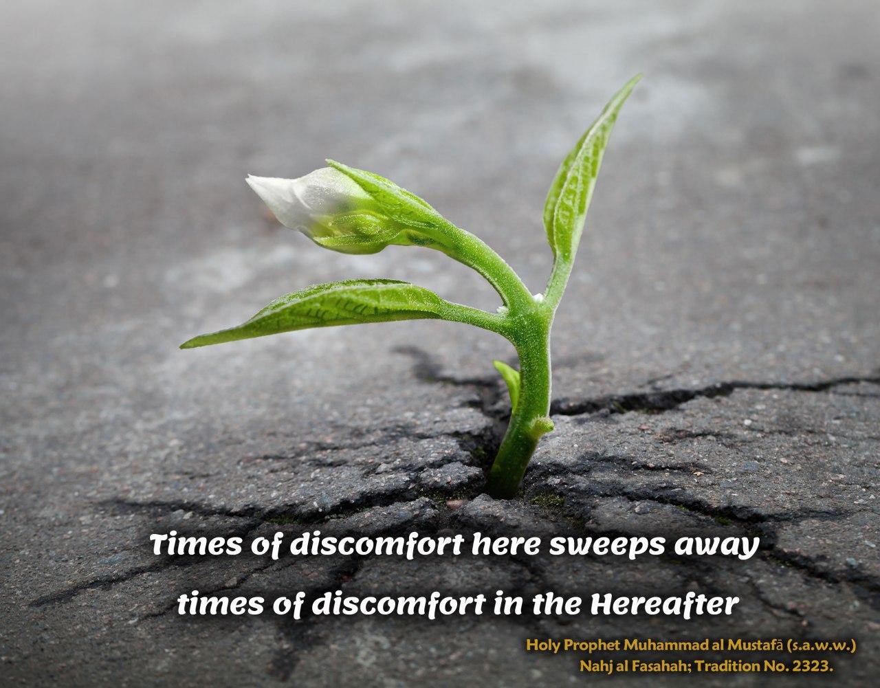 Times of discomfort