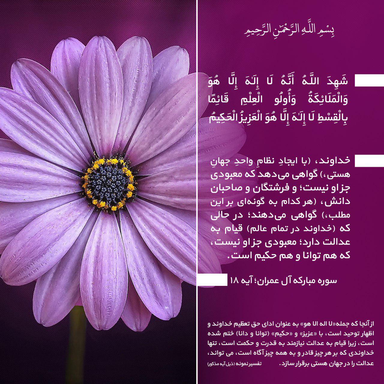 نتیجه تصویری برای آل عمران 18