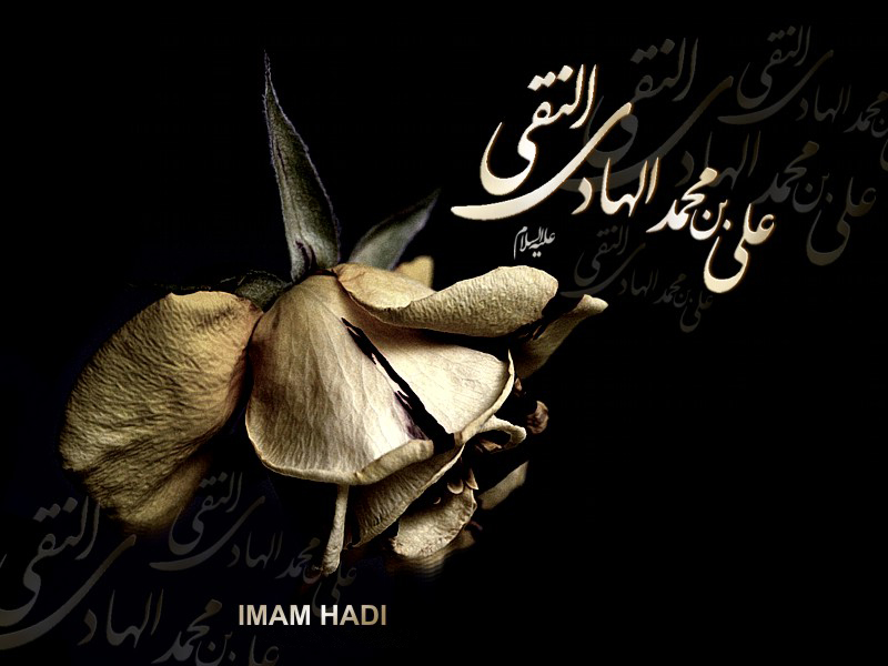 http://www.sibtayn.com/swf/gallery/images/monasebat/shahadat/hadi/pic3/pic48.jpg