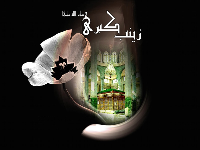 http://www.sibtayn.com/swf/gallery/images/monasebat/shahadat/zainab/pic3/pic15.jpg