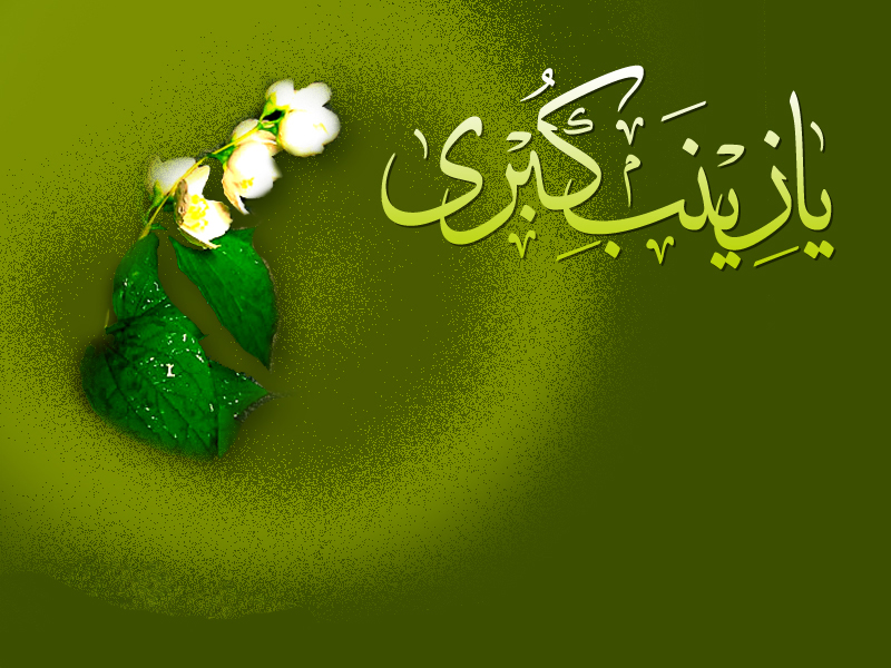 http://www.sibtayn.com/swf/gallery/images/monasebat/shahadat/zainab/pic3/pic37.jpg