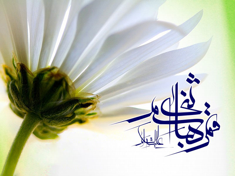 http://www.sibtayn.com/swf/gallery/images/monasebat/veladat/abbas/pic2/pic6.jpg