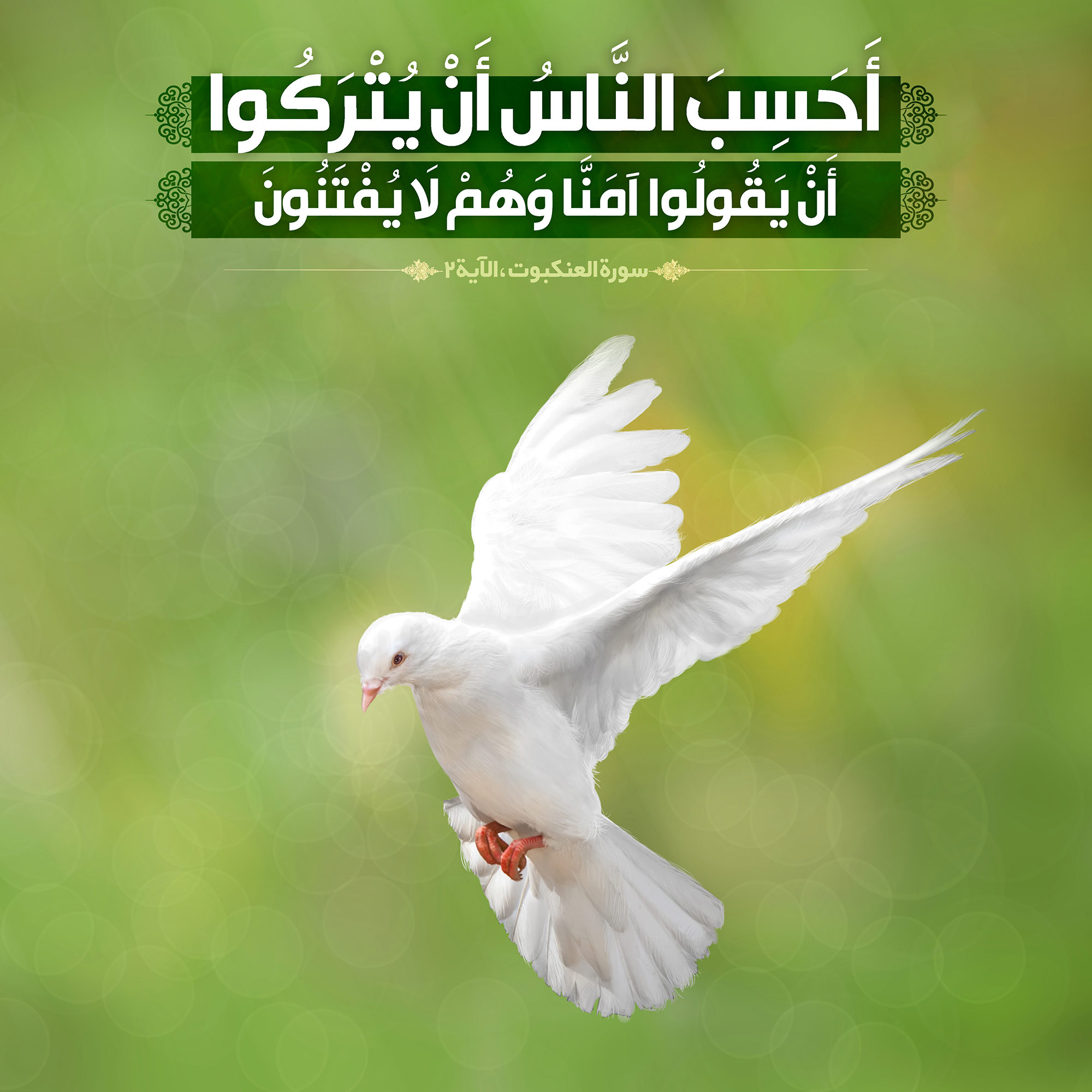 أَحَسِبَ النَّاسُ أَنْ يُتْرَكُوا أَنْ يَقُولُوا آمَنَّا وَهُمْ لَا يُفْتَنُونَ