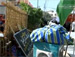 أيام خدمتنه انقضت