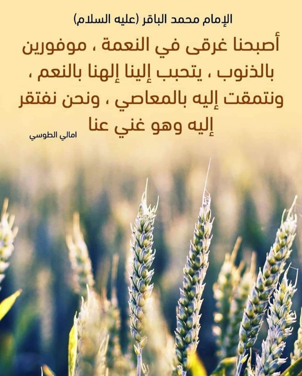 الامام محمد بن الباقر ( عليه السلام ) : أصبحنا غرقى في النعمة , موفورين بالذنوب , يتحبب إلينا إلهنا بالنعم , و نتمقت إليه بالمعاصي , و نحن نفتقر إليه و هو غني عنا .