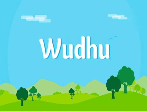How to make wudhu ?