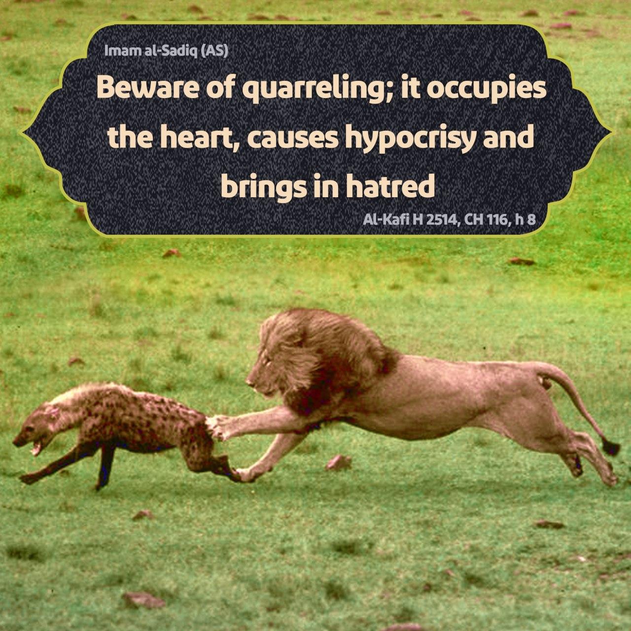 Beware of quarreling