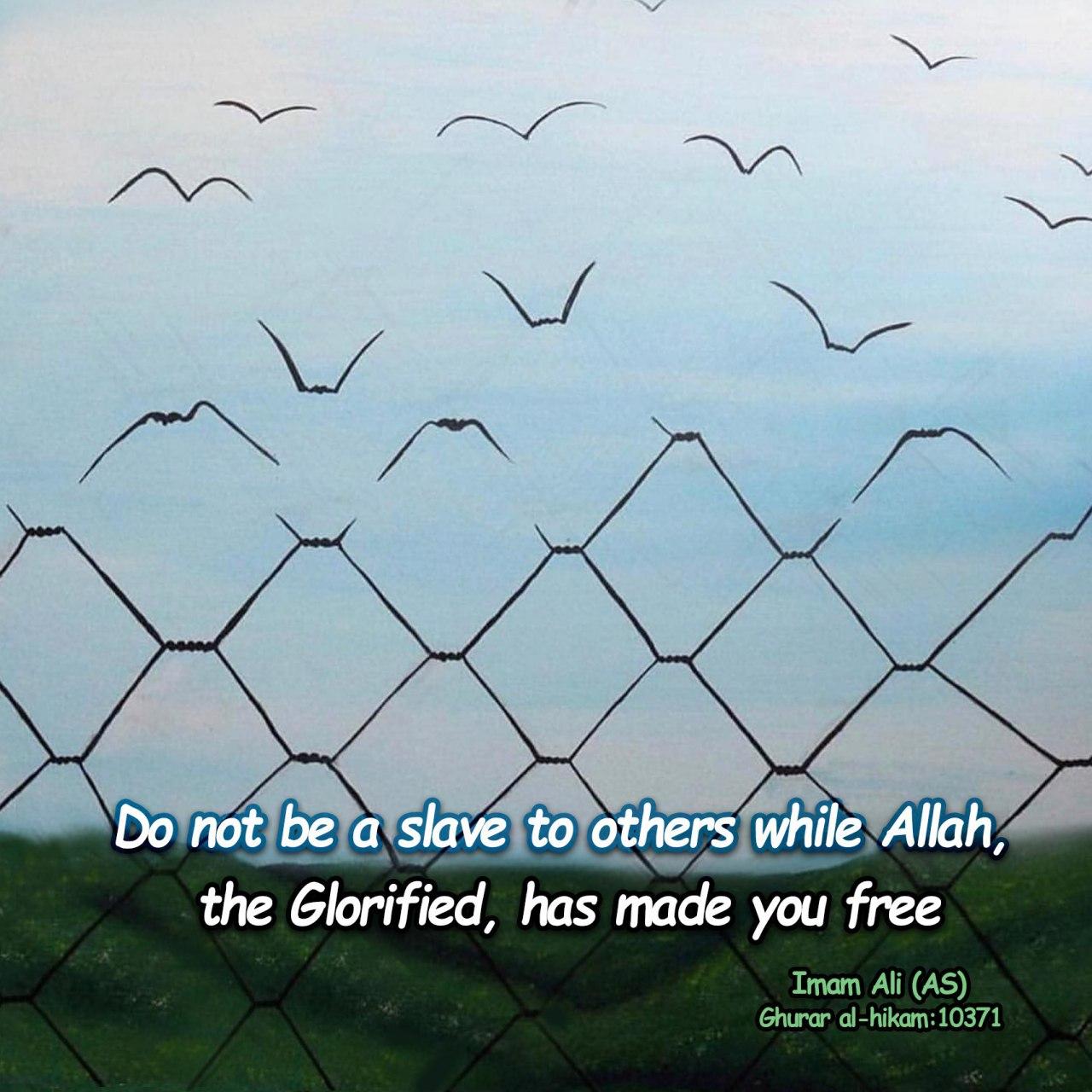 Do not be a slave to others 