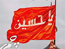 Red Flag - Seyed Jawad Zaker