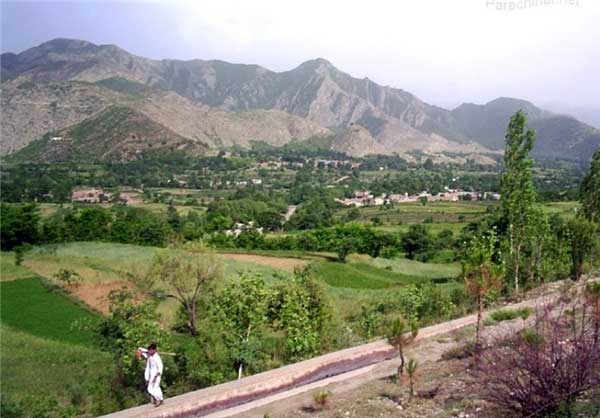 fa-jaleb-parachenar-05