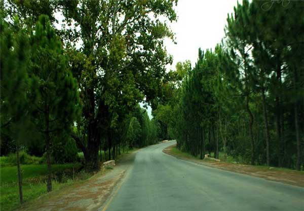 fa-jaleb-parachenar-10