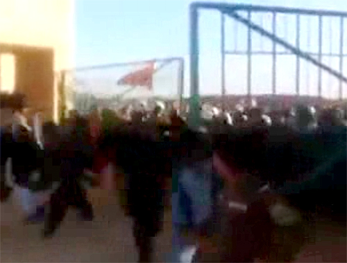کلیپ لحظه بازگشایی مرز شلمچه به روی زائرین اربعین به علت ازدحام جمعیت 
